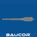Spade drill bit